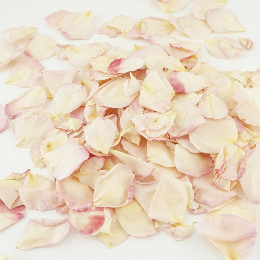 Exciting News!!! New freeze dried rose petal range coming very soon!