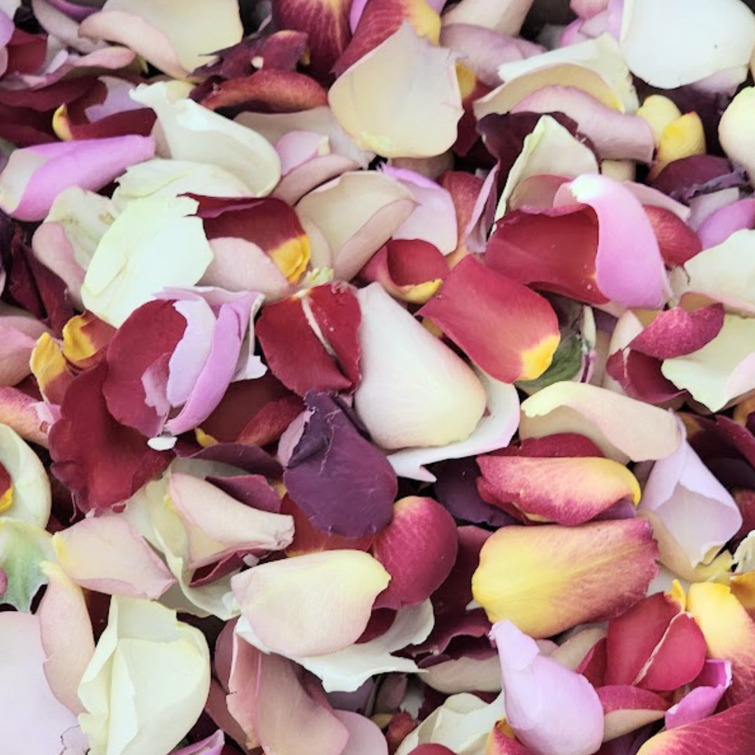 B-Grade Imperfect Discount Freeze-Dried Rose Petal Wedding Confetti Petal Mix