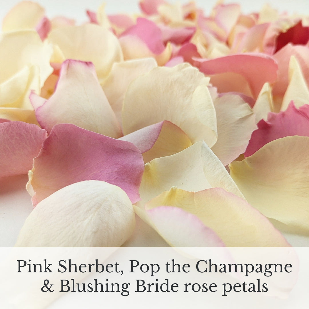 Create Your Own Petal Mix - Freeze-Dried Petals - Add up to 4 Petals