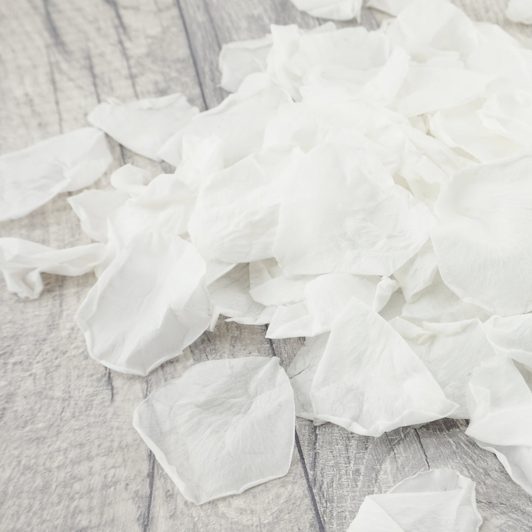 Preserved Rose Petals Biodegradable Wedding Confetti White