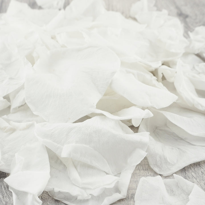Preserved Rose Petals Biodegradable Wedding Confetti White