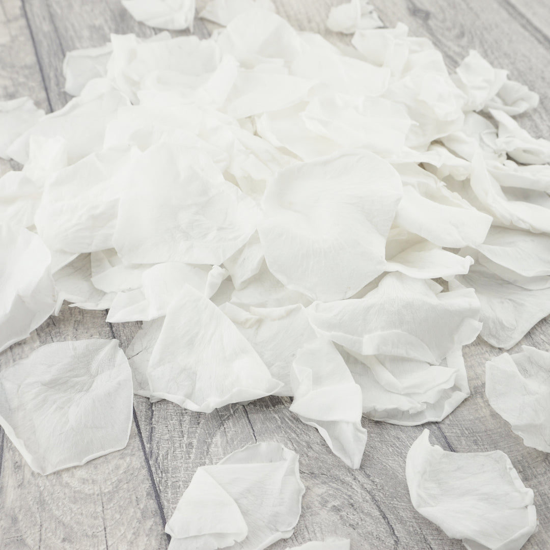 Preserved Rose Petals Biodegradable Wedding Confetti White