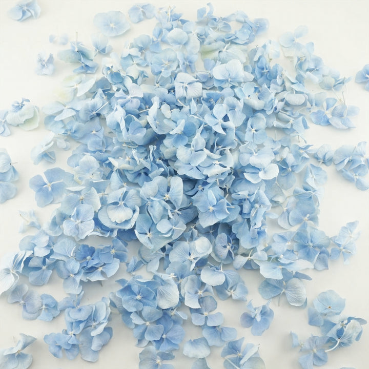 Aquamarine Freeze Dried Hydrangea Petal Confetti Biodegradable Confetti