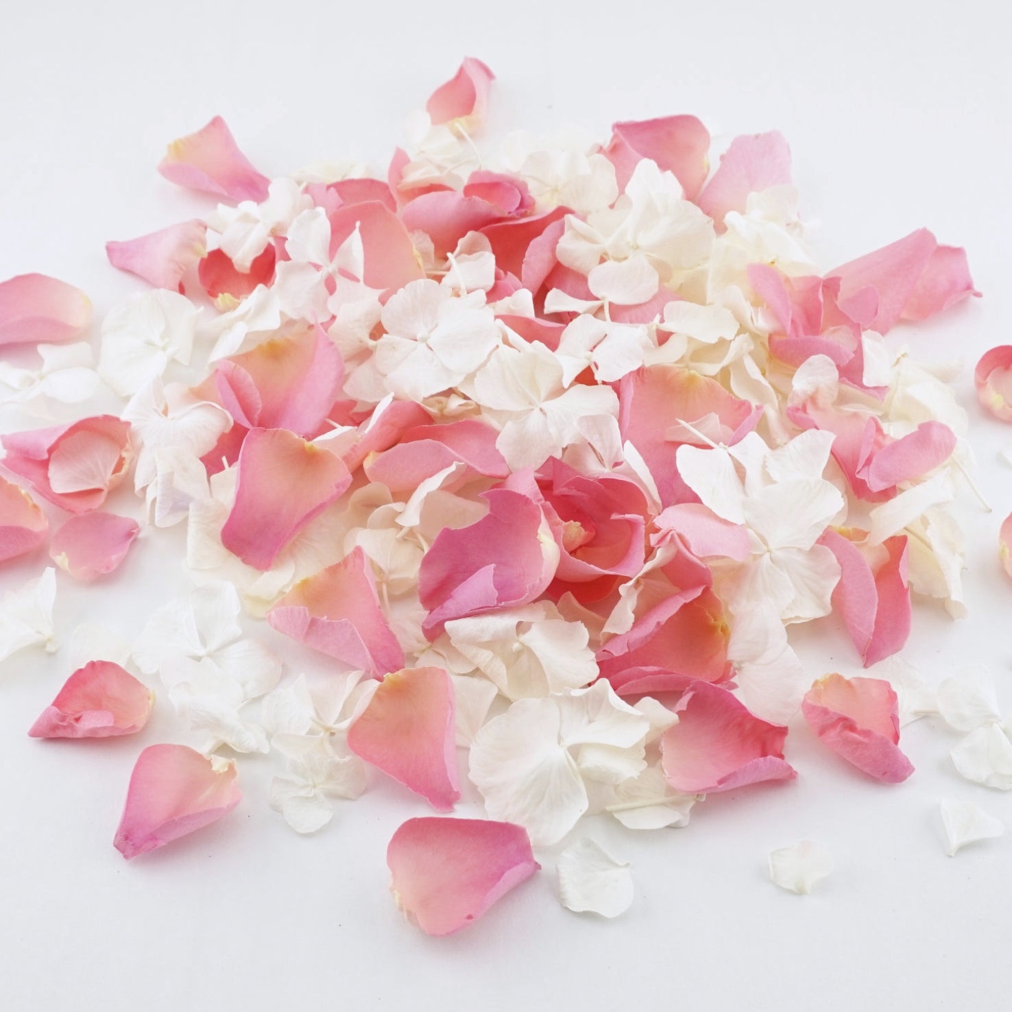 25 Guests x Biodegradable Wedding Confetti Pink Rose Mix Petals