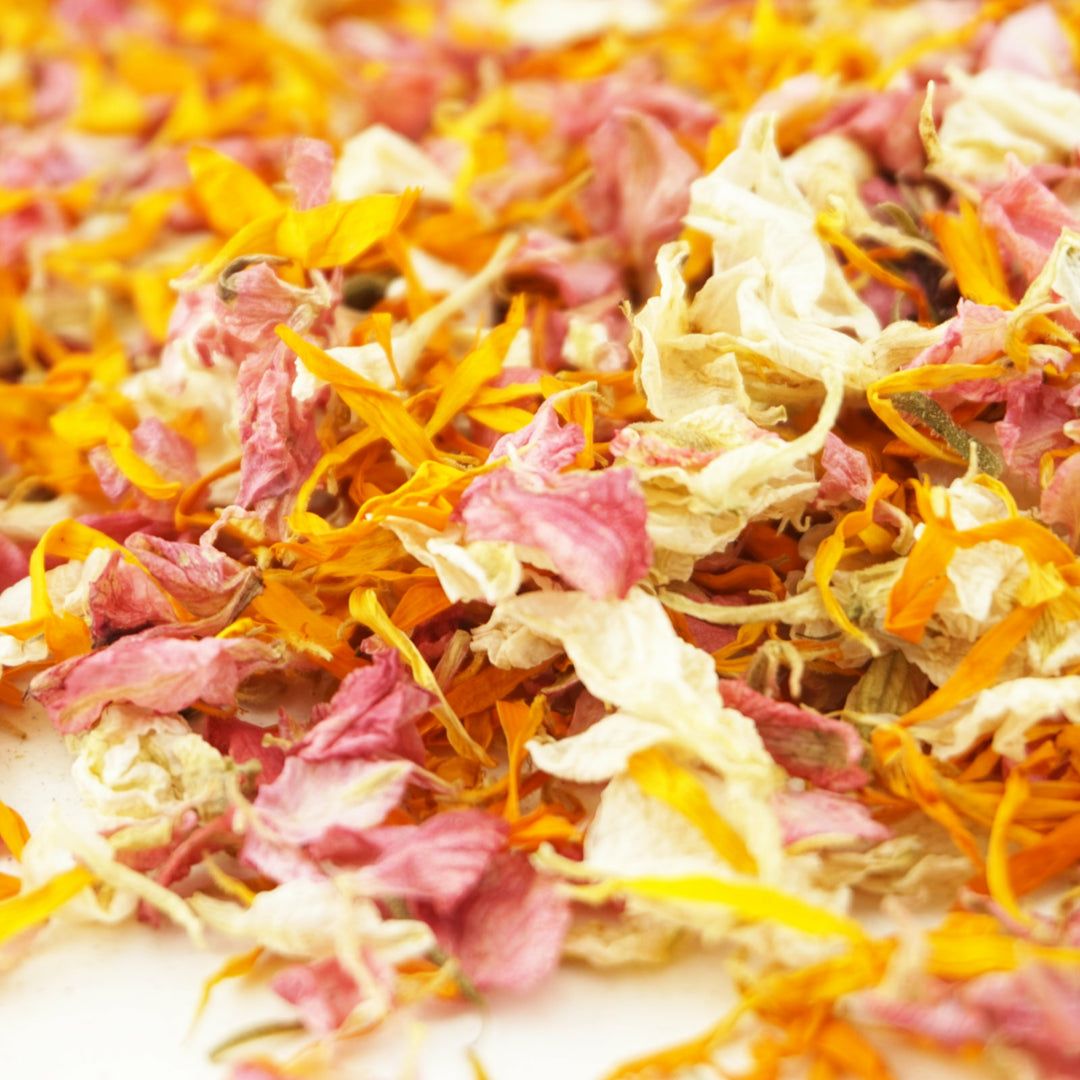 Larkspur & Calendula Dried Petal Wedding Confetti Biodegradable Carnival