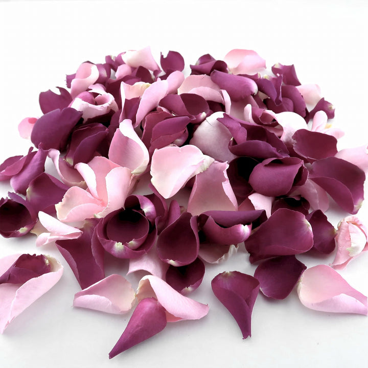 Eternal Freeze Dried Rose Petals Biodegradable Confetti