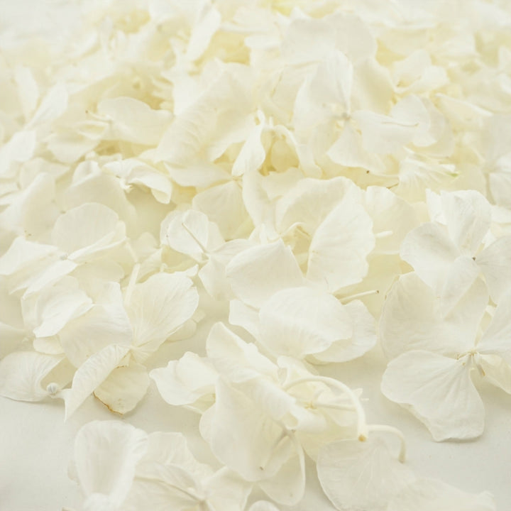 Frosting Freeze Dried Hydrangea Petal Confetti Biodegradable Wedding Confetti Ivory