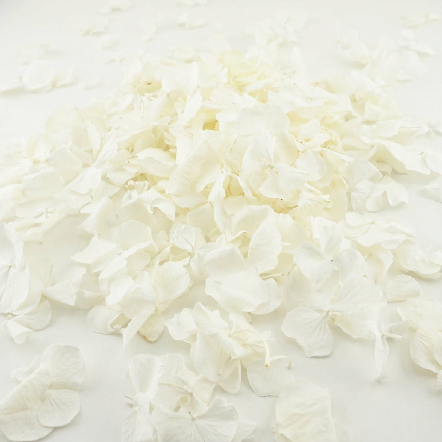 Frosting Freeze Dried Hydrangea Petal Confetti Biodegradable Confetti