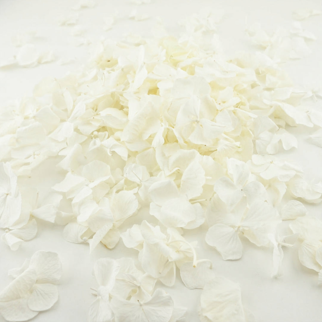 Frosting Freeze Dried Hydrangea Petal Confetti Biodegradable Wedding Confetti Ivory