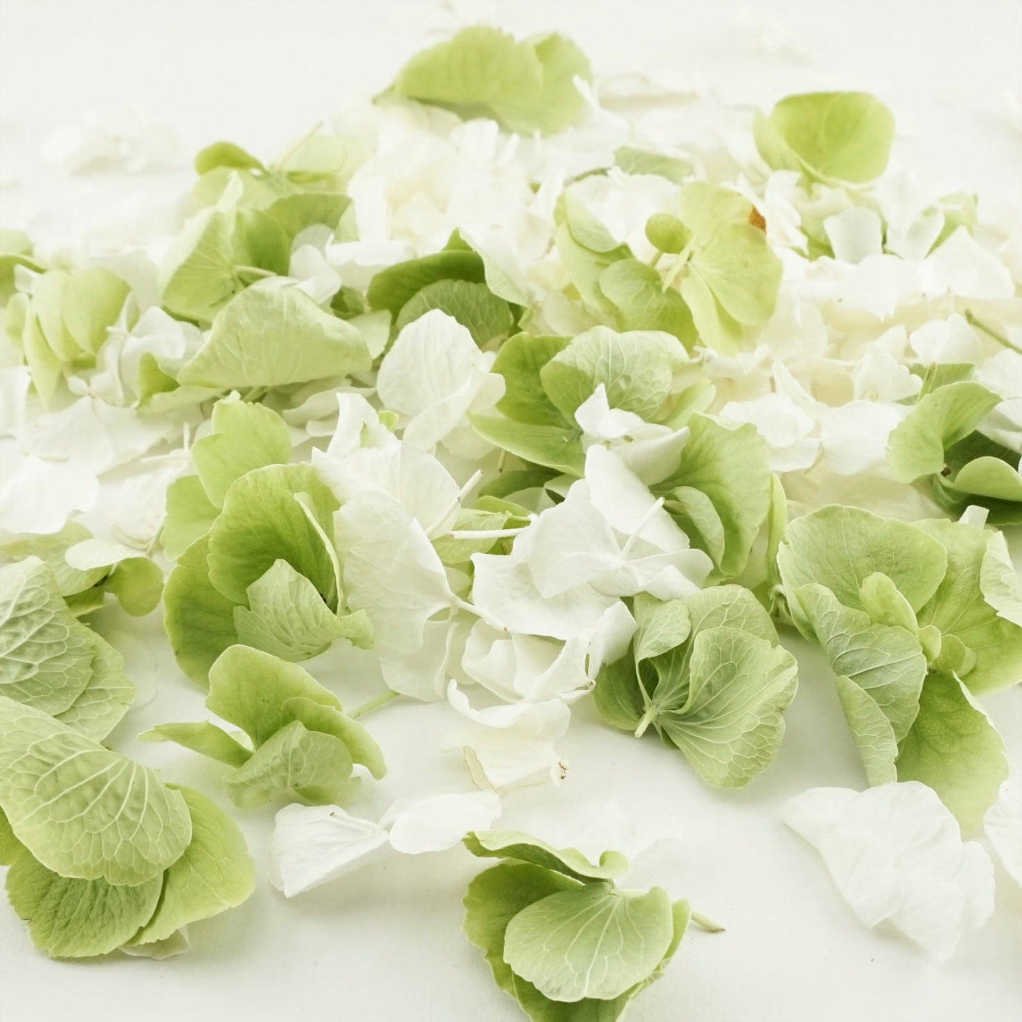 Hint of Mint Freeze Dried Hydrangea Petal Confetti Mix Biodegradable C
