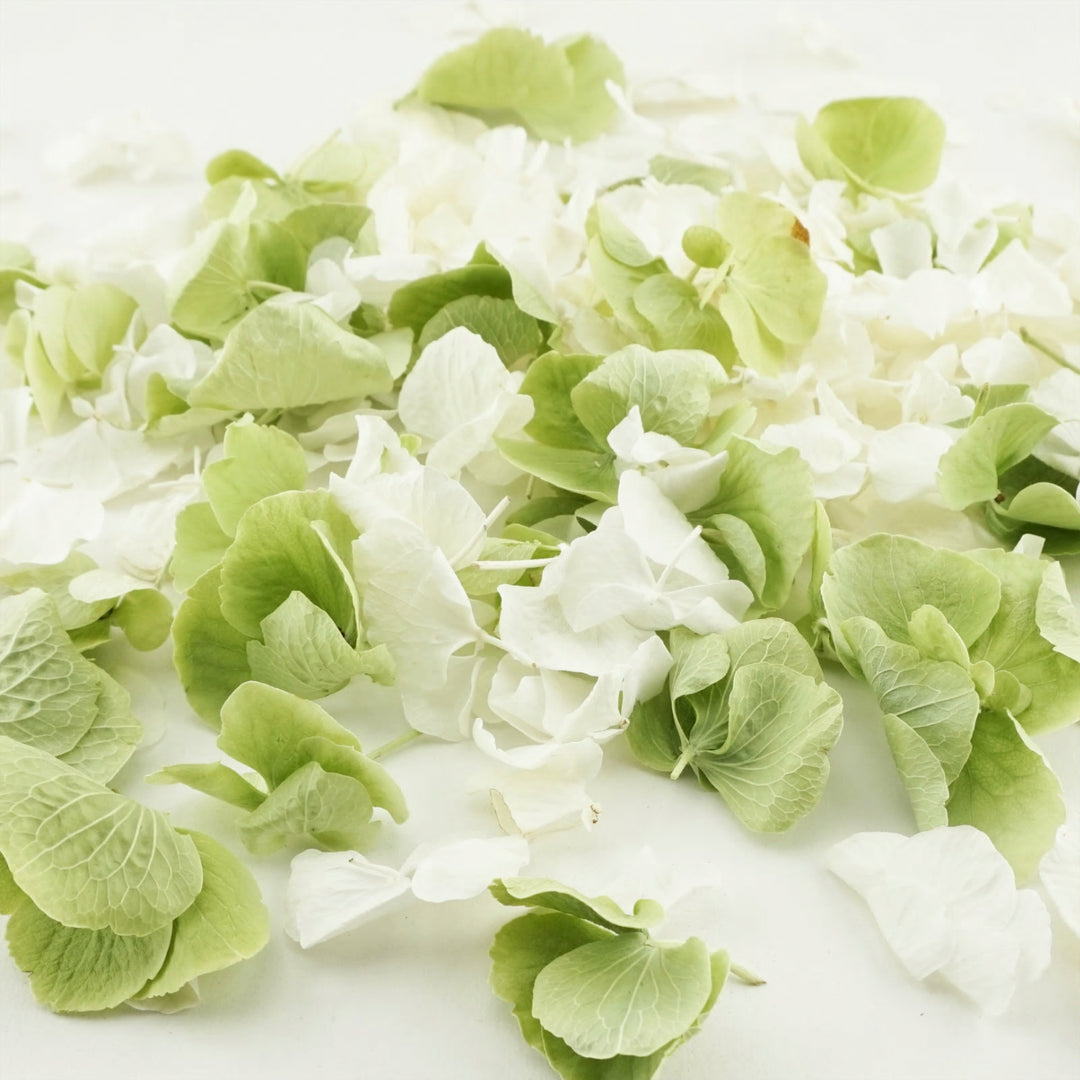 Hint of Mint Freeze Dried Hydrangea Petal Confetti Mix Biodegradable Wedding Confetti