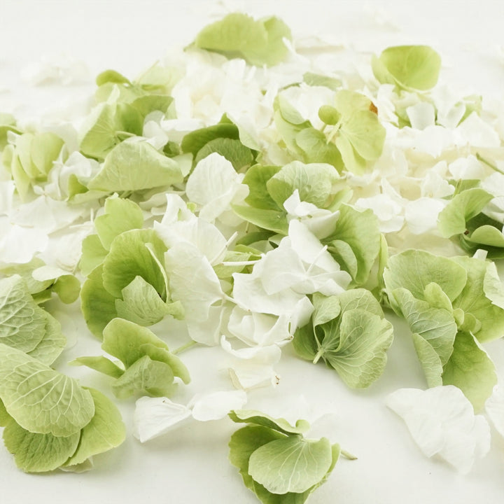 Hint of Mint Freeze Dried Hydrangea Petal Confetti Mix Biodegradable Wedding Confetti