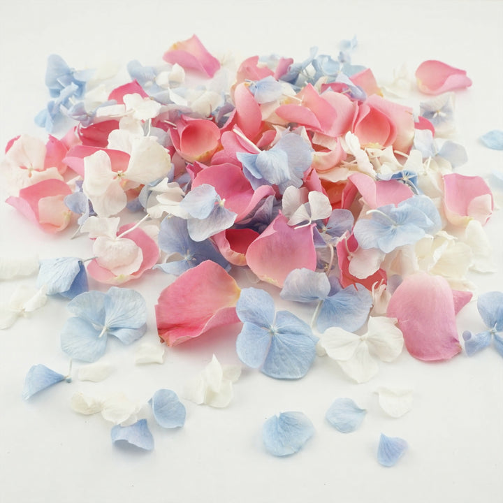 Summer Fete Dried Petal Confetti Mix Biodegradable Wedding Confetti