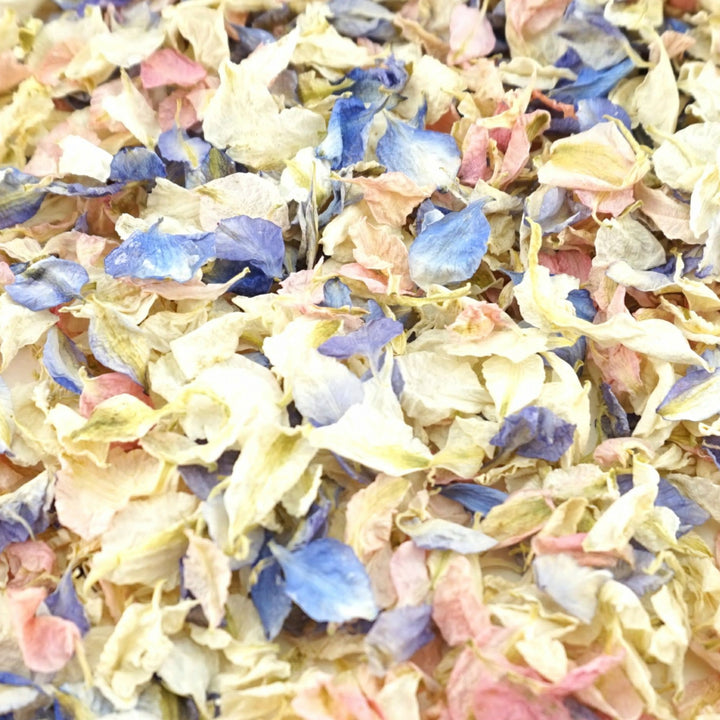 Larkspur Dried Petal Wedding Confetti Biodegradable Vintage