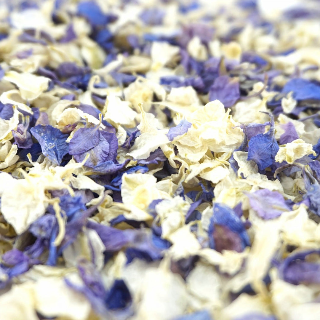 Larkspur Dried Petal Wedding Confetti Biodegradable Winter Frost