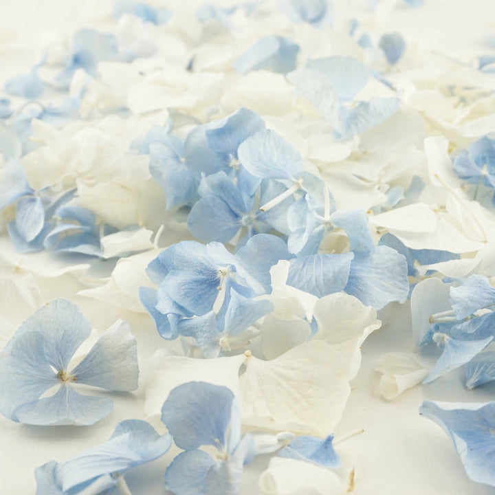 Wistful Freeze Dried Hydrangea Petal Confetti Mix Biodegradable Wedding Confetti