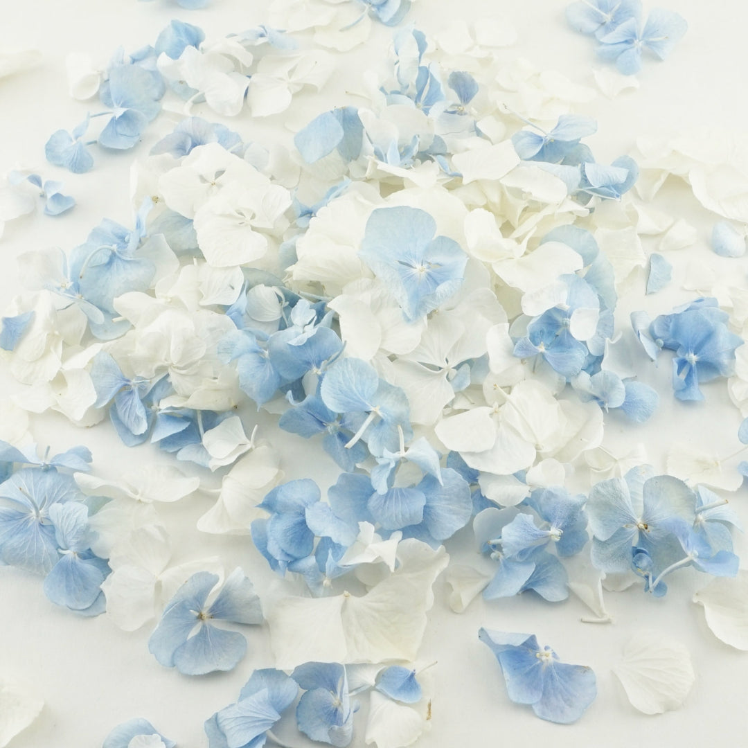 Wistful Freeze Dried Hydrangea Petal Confetti Mix Biodegradable Wedding Confetti
