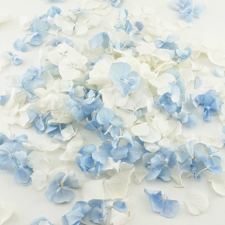 Wistful Freeze Dried Hydrangea Petal Confetti Mix Biodegradable Wedding Confetti