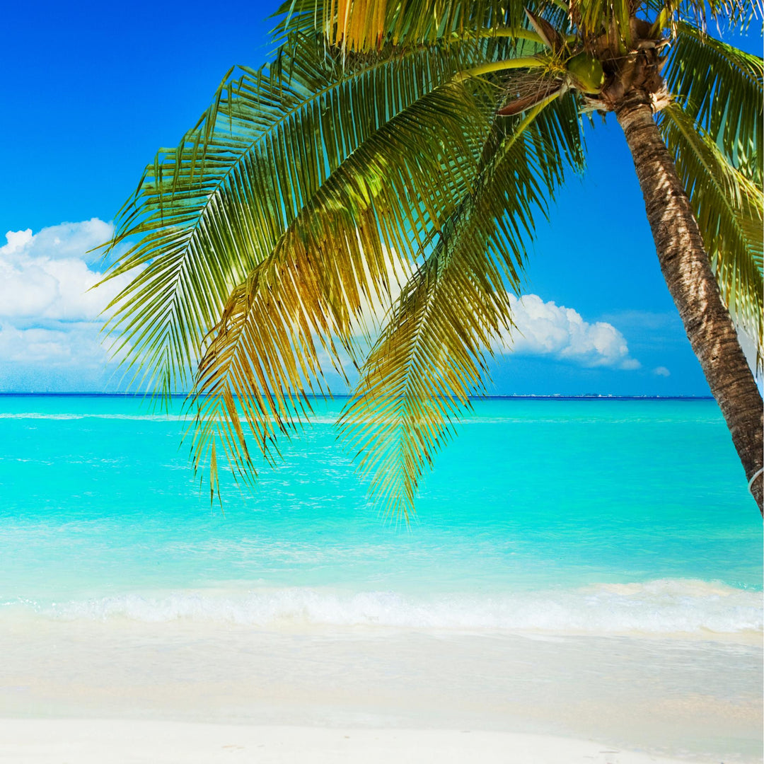 Upcoming Annual Holiday Break