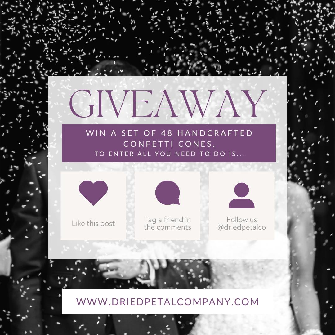 GIVEAWAY TIME!!! Cones with Trays