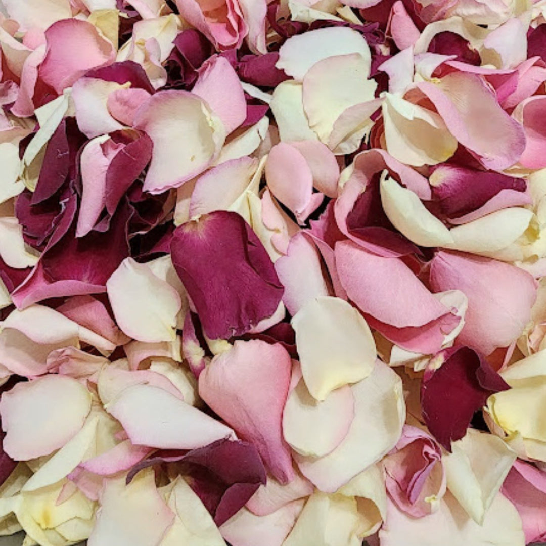 Dried Petals for Outdoor Wedding Photos: A 2026 Guide