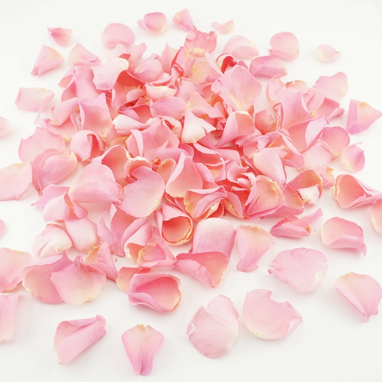 Single Colour Petals – The Dried Petal Company