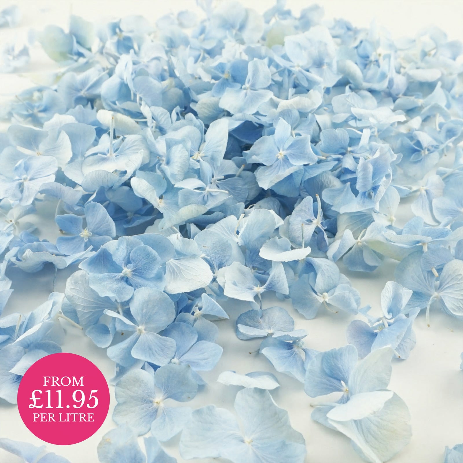 Freeze-dried hydrangea petals - wedding confetti petals - biodegradable confetti - natural confetti - real flower petals - Aquamarine blue - The Dried Petal Company