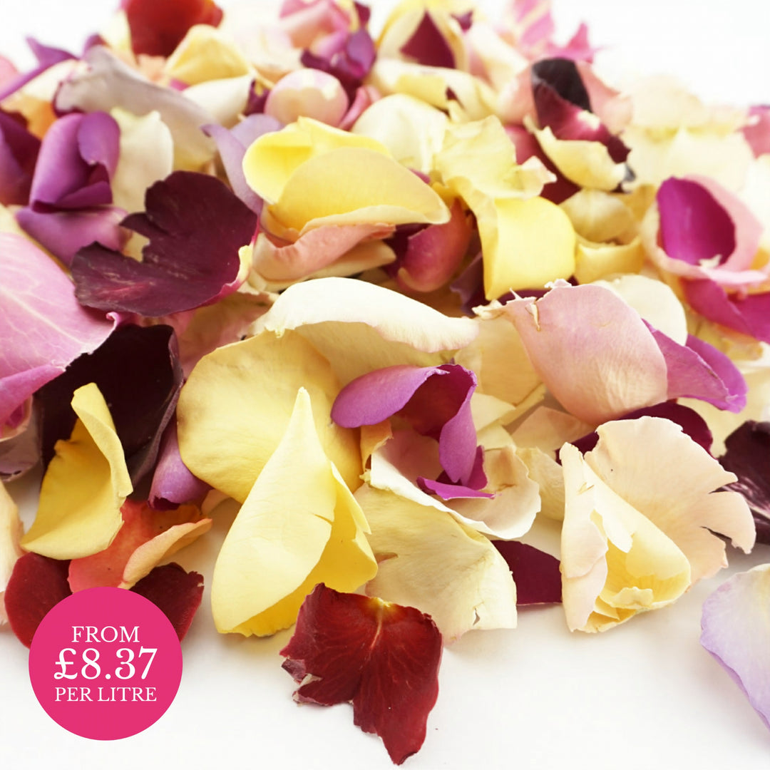 B-Grade Imperfect Freeze-Dried Rose Petals Wedding Confetti