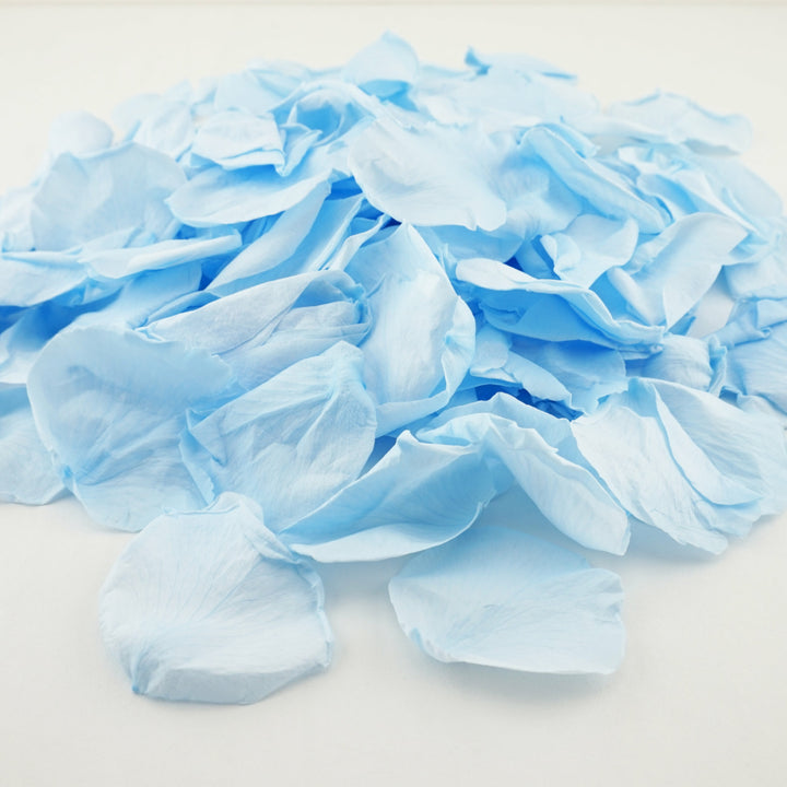 Beautiful Blue - Preserved rose petals - wedding confetti - biodegradable confetti - The Dried Petal Company