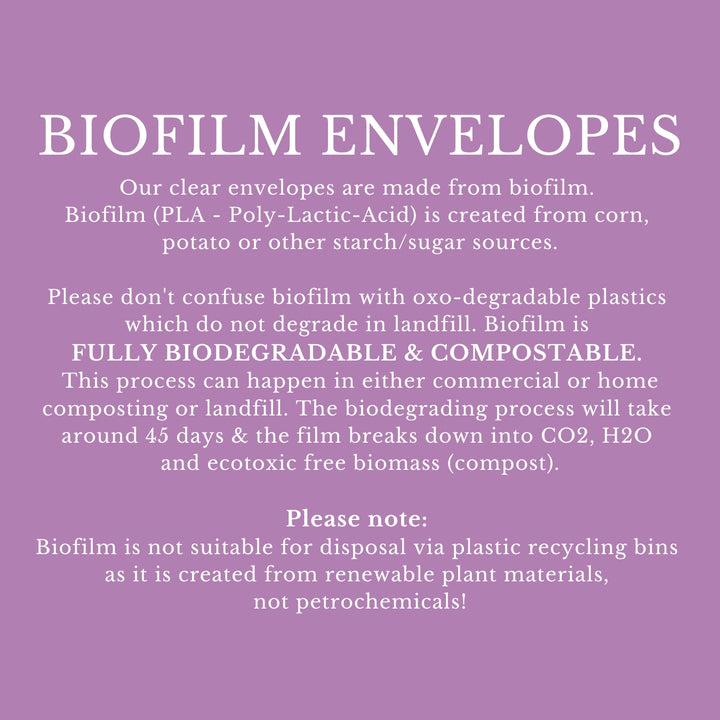 Clear Envelopes with Peel & Seal Flap 10 x 14cm Biofilm Biodegradable Compostable