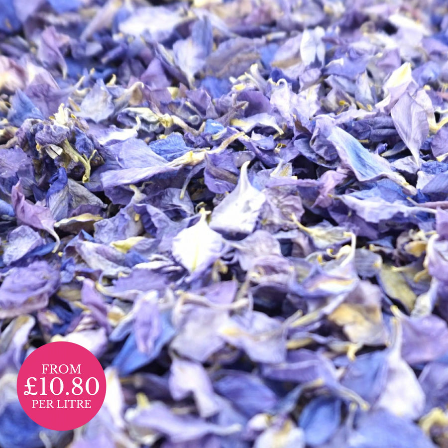Blueberry Fool - Dried Petal Wedding Confetti - larkspur petals - british grown - natural confetti - biodegradable confetti - flower confetti - The Dried Petal Company