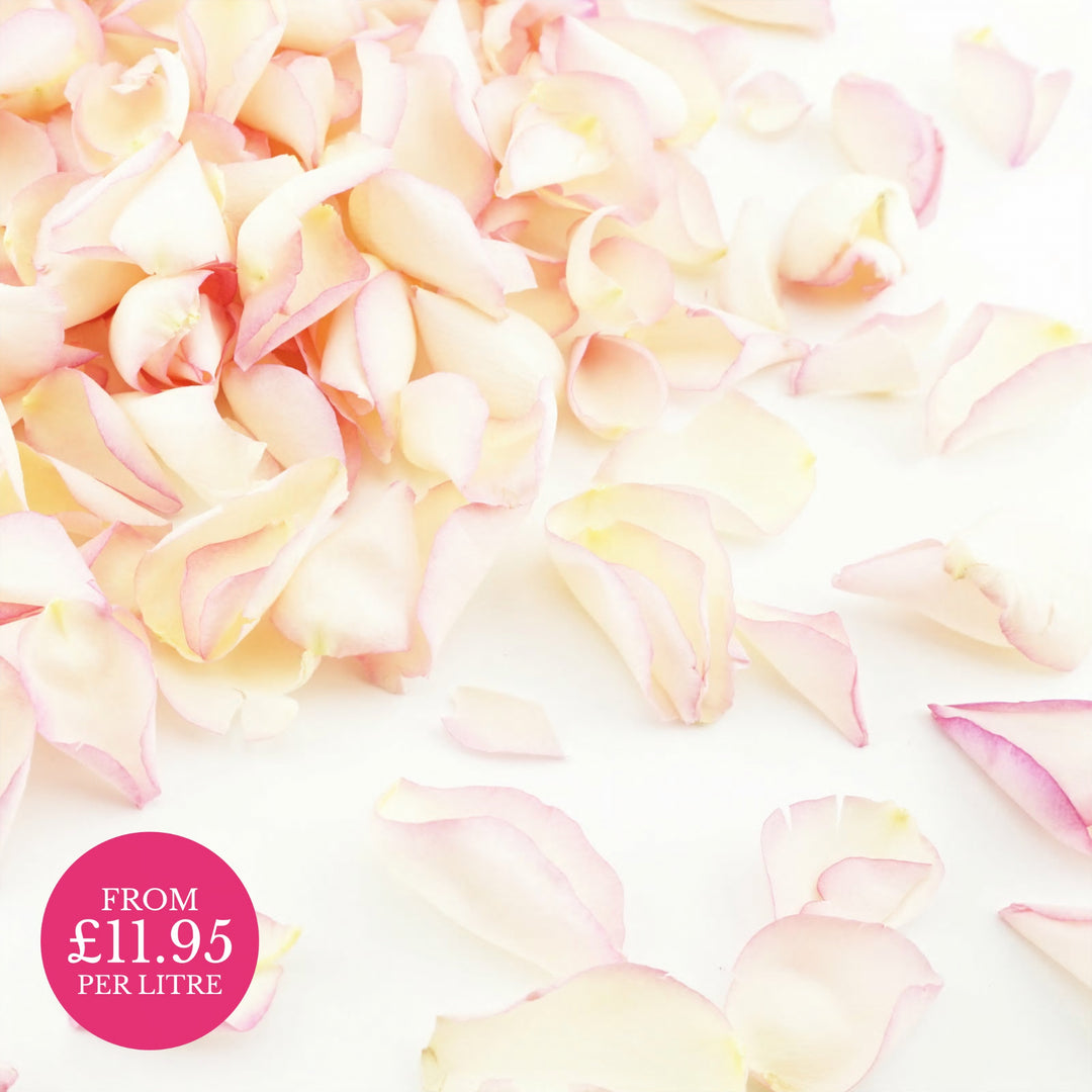 Freeze-Dried Rose Petals Wedding Confetti Blushing Bride
