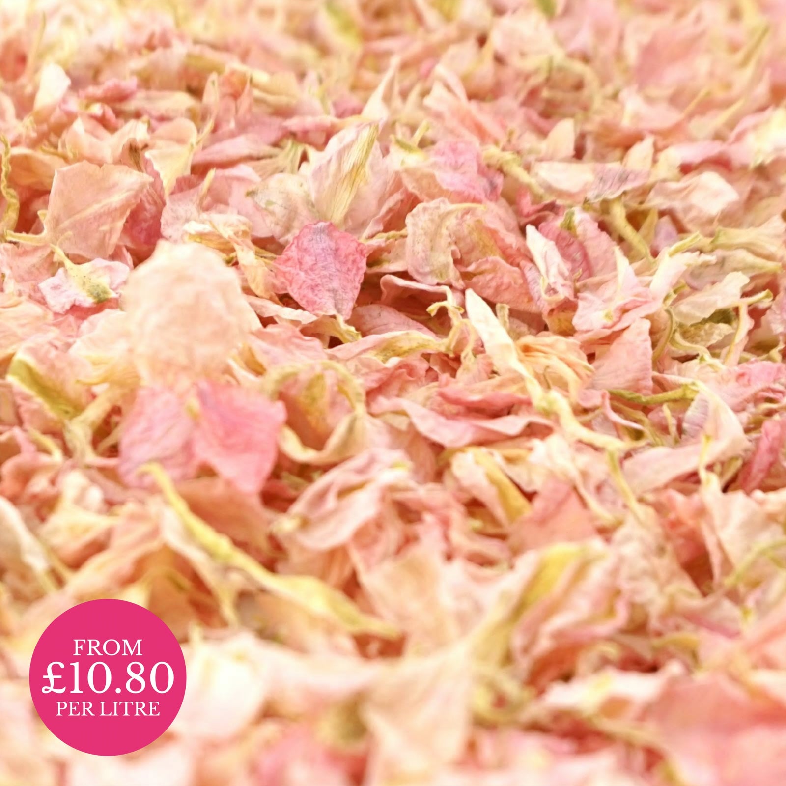 Candy pink - Dried Petal Wedding Confetti - larkspur petals - british grown - natural confetti - biodegradable confetti - flower confetti - The Dried Petal Company
