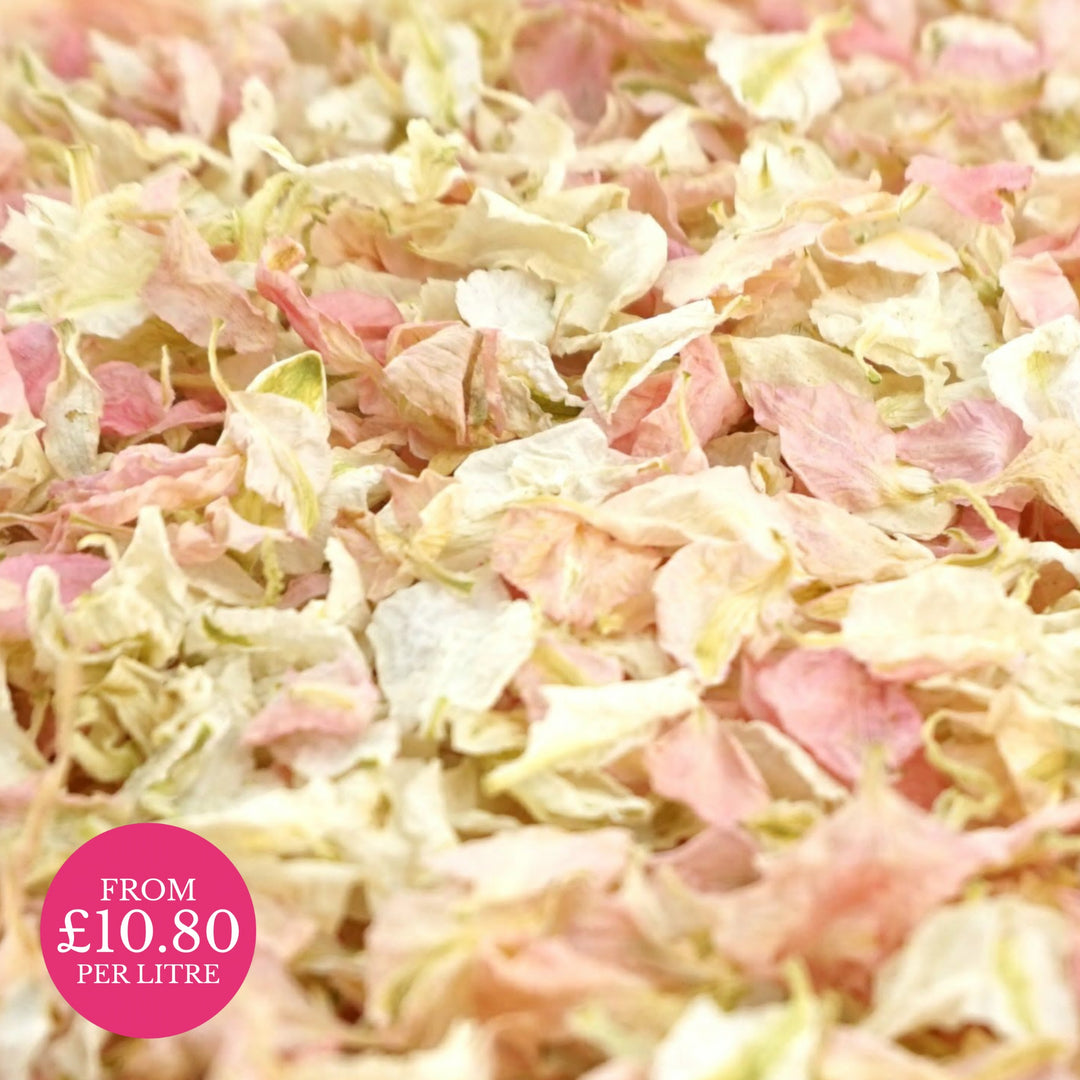 Candy Vanilla pink ivory - Dried Petal Wedding Confetti - larkspur petals - british grown - natural confetti - biodegradable confetti - flower confetti - The Dried Petal Company