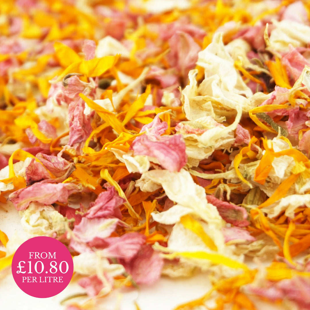 Carnival - Dried Petal Wedding Confetti - larkspur and calendula petals - british grown - natural confetti - biodegradable confetti - flower confetti - The Dried Petal Company
