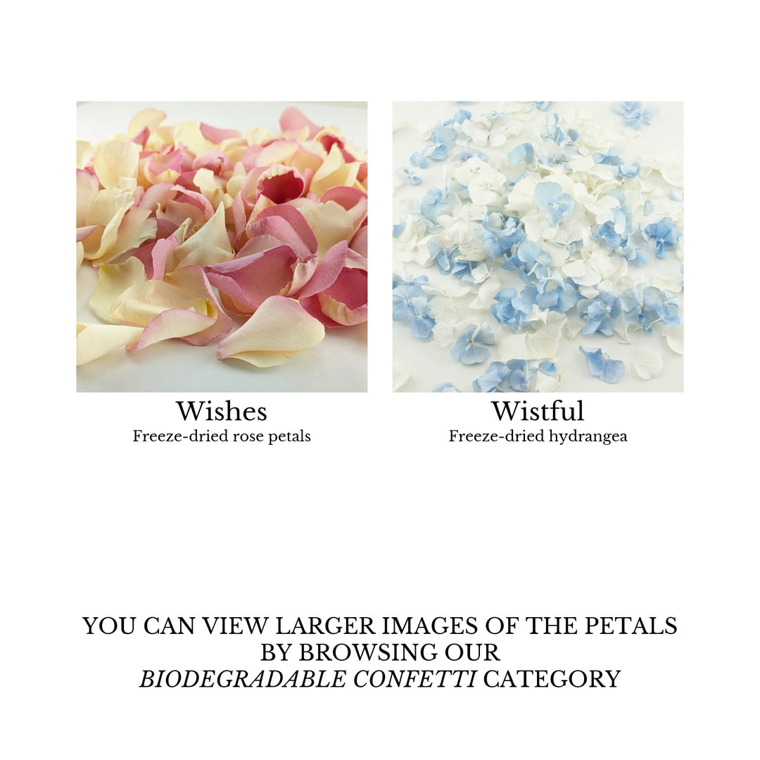 Sample Pack - Wedding Confetti Petals