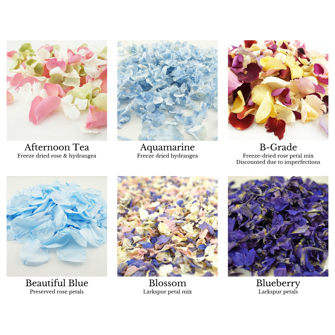 Confetti petals colour chart page 1 - choose your confetti petals - dried petal confetti - biodegradable confetti - natural confetti - The Dried Petal Company