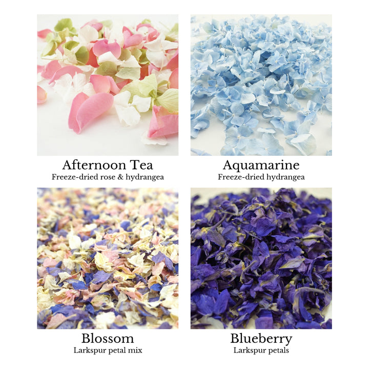 Sample Pack - Wedding Confetti Petals