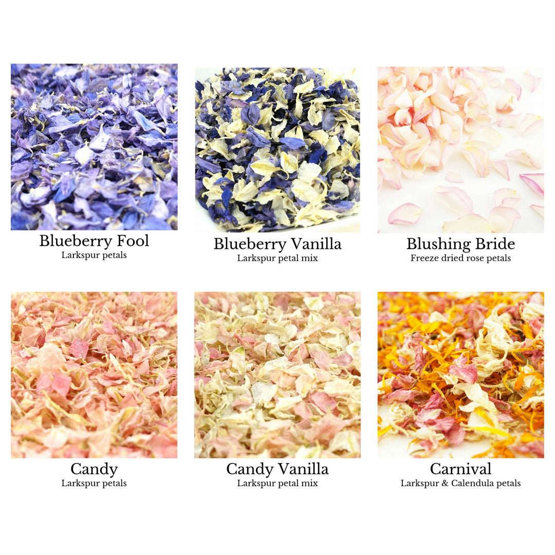 Confetti petals colour chart page 2 - choose your confetti petals - dried petal confetti - biodegradable confetti - natural confetti - The Dried Petal Company