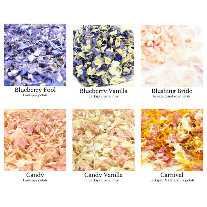 Confetti petals colour chart page 2 - choose your confetti petals - dried petal confetti - biodegradable confetti - natural confetti - The Dried Petal Company