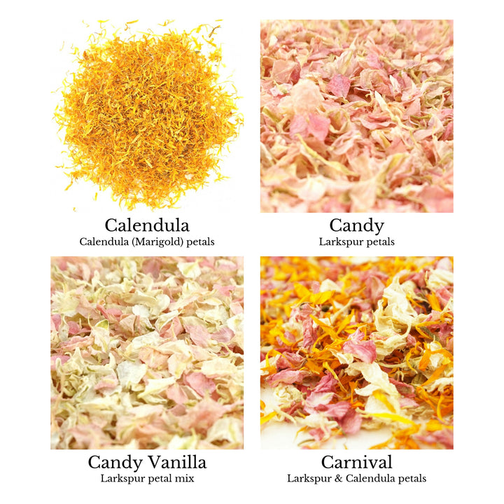 Sample Pack - Wedding Confetti Petals