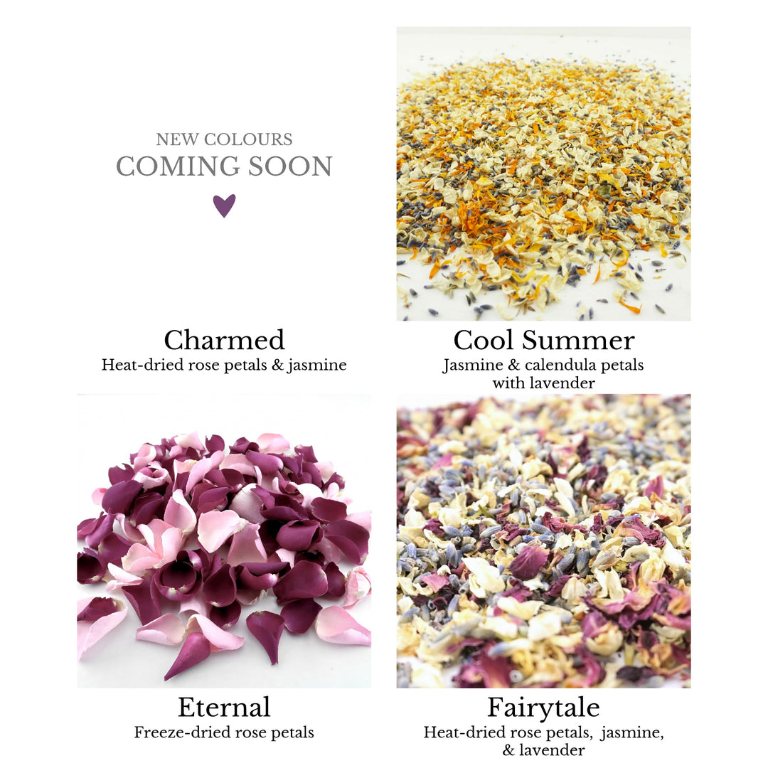 Sample Pack - Wedding Confetti Petals