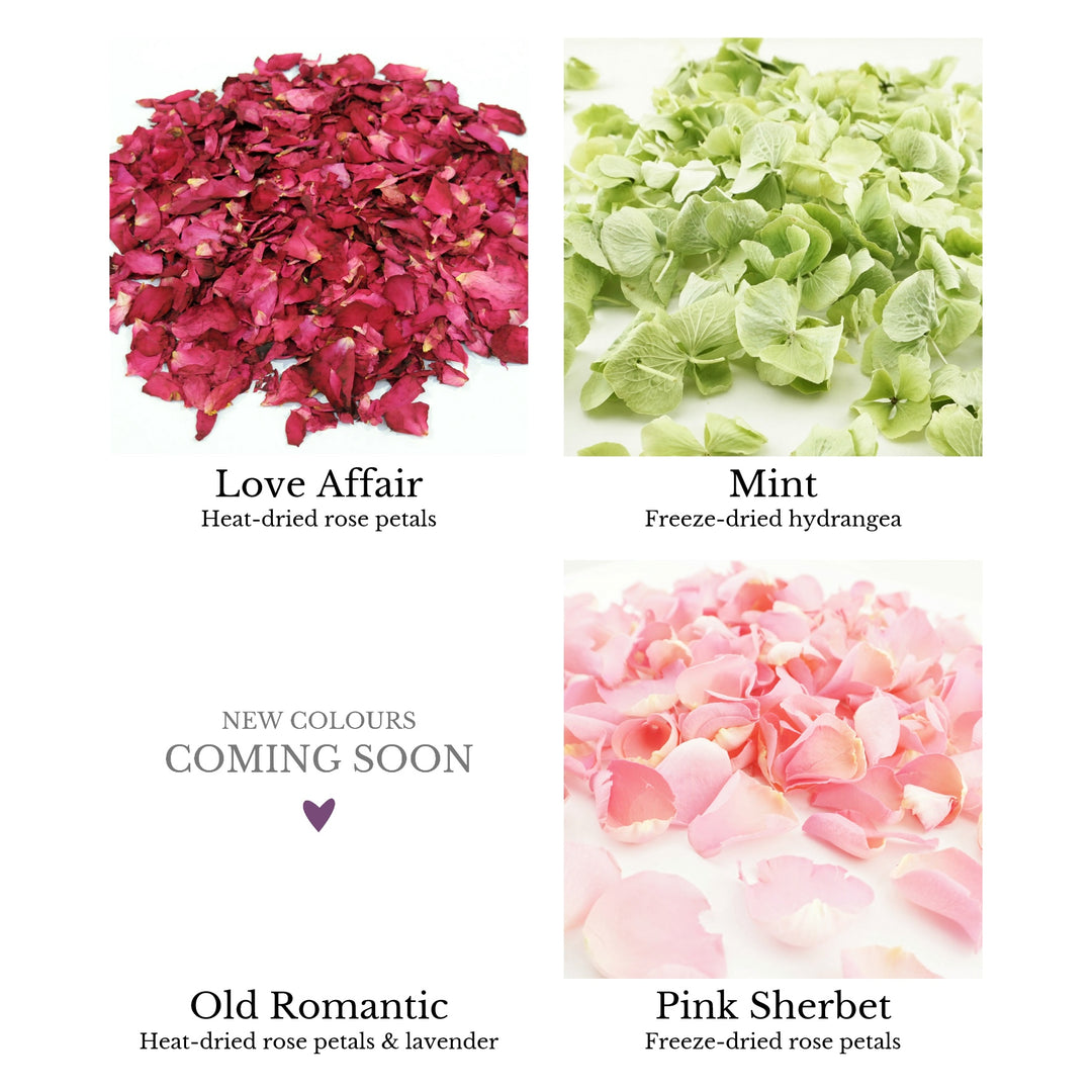 Sample Pack - Wedding Confetti Petals