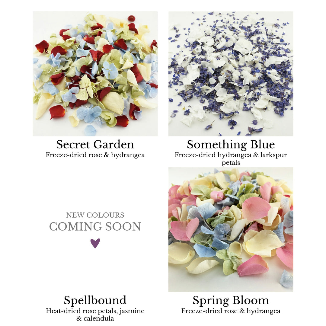 Sample Pack - Wedding Confetti Petals