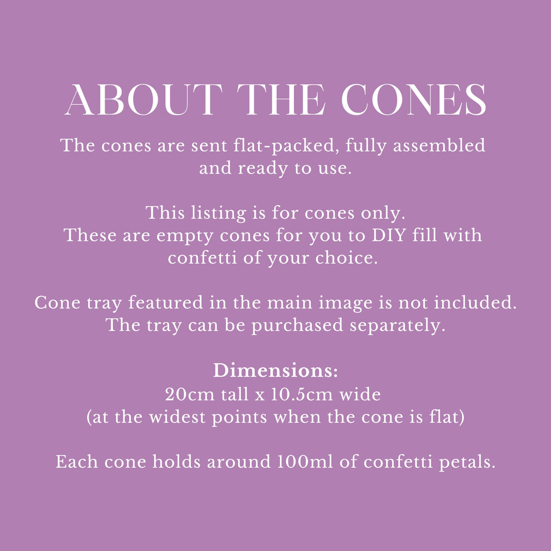 Handcrafted Recycled White Wedding Confetti Cones