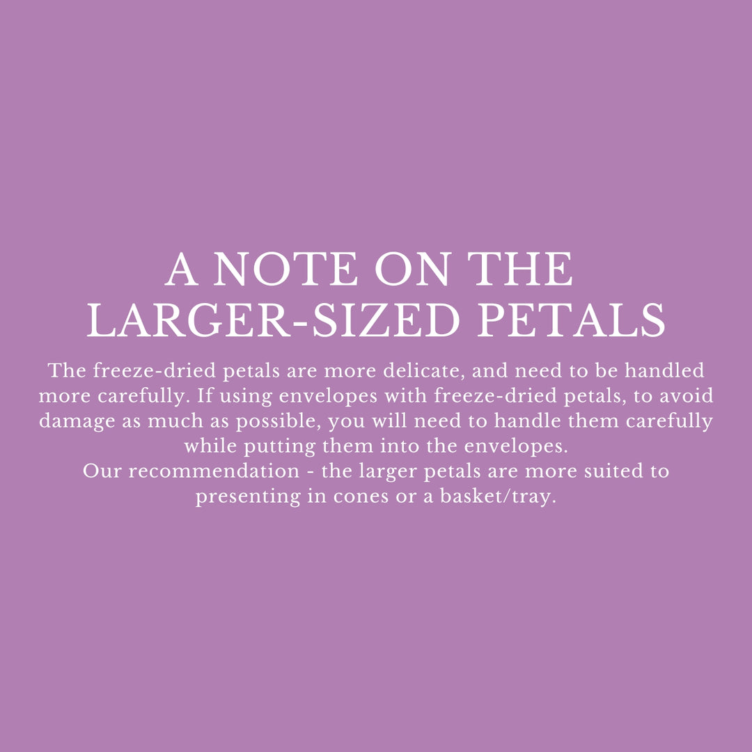 Personalised Glassine Envelopes for Confetti Bags Forever DIY (Empty)