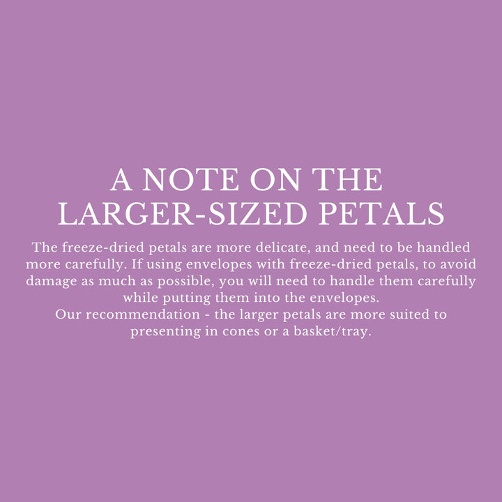 Personalised Glassine Envelopes for Confetti Bags Forever DIY (Empty)