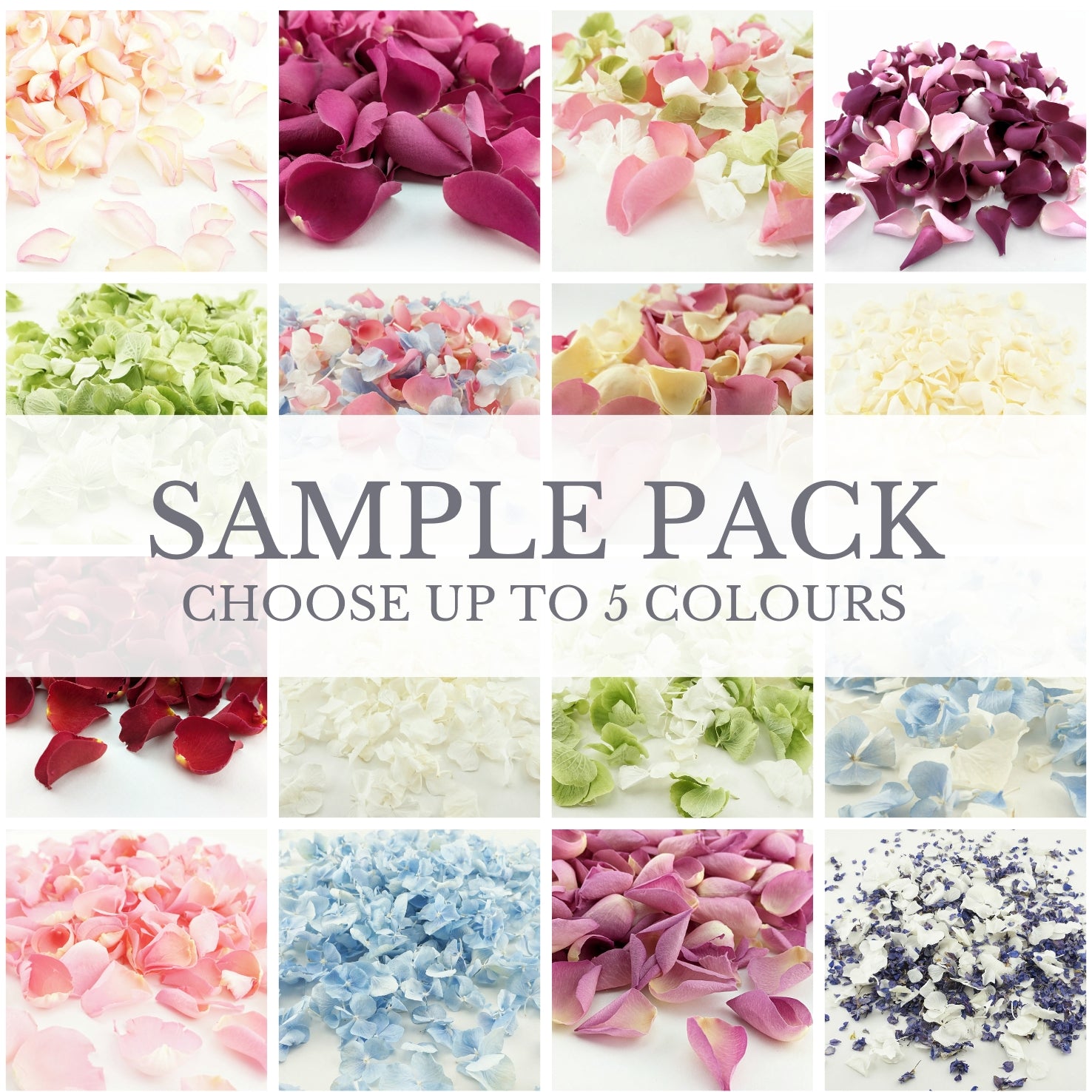 Sample Pack - confetti petals - confetti samples - biodegradable confetti - natural confetti - try before you buy - The Dried Petal Company