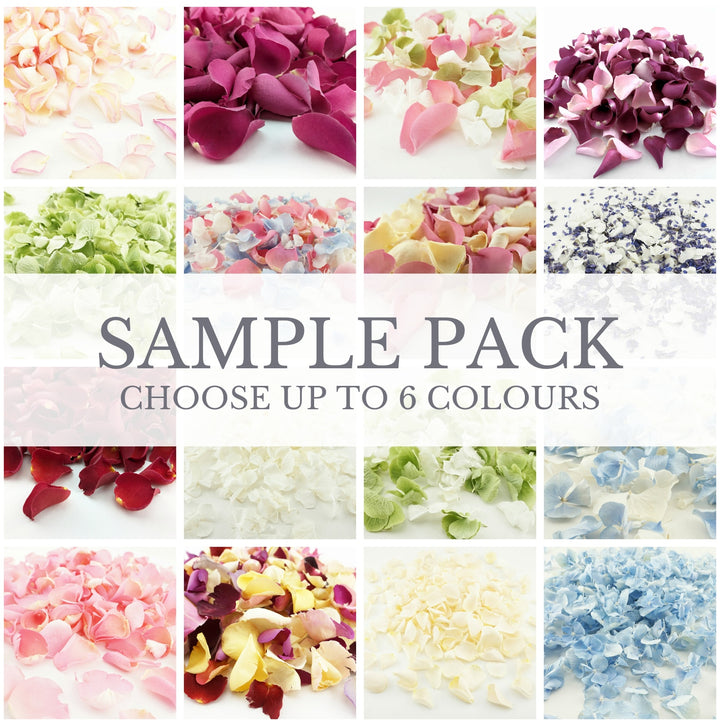 Sample Pack - Wedding Confetti Petals