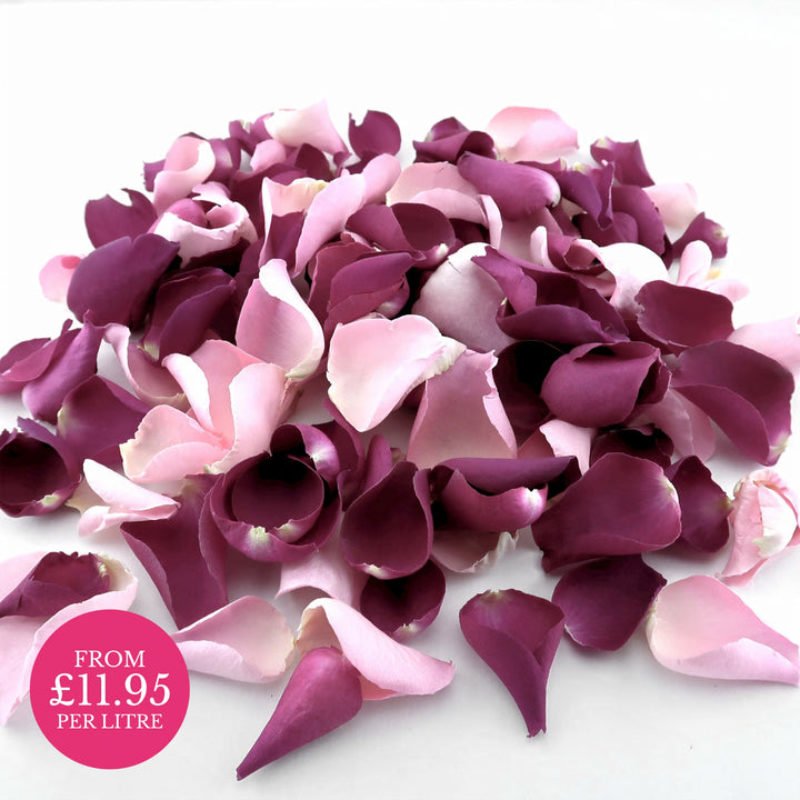 Freeze-Dried Rose Petals Wedding Confetti Eternal